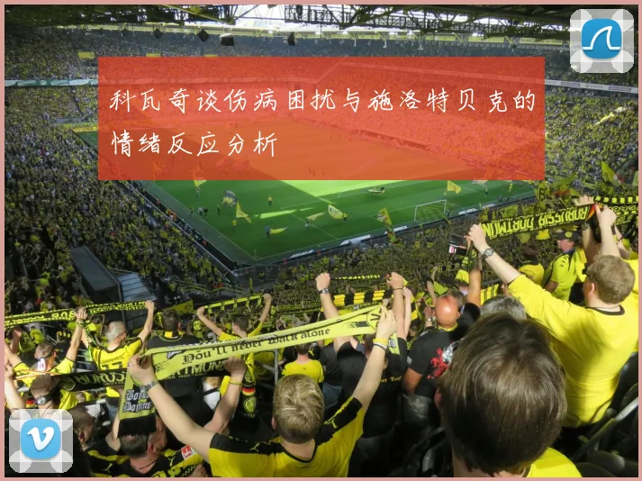 科瓦奇谈伤病困扰与施洛特贝克的情绪反应分析