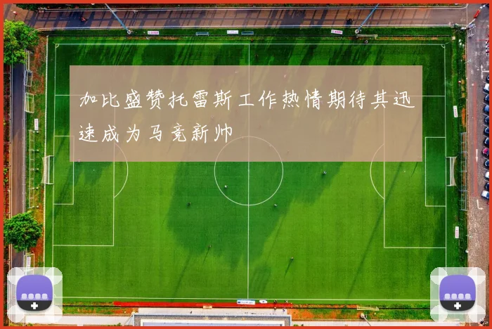 加比盛赞托雷斯工作热情期待其迅速成为马竞新帅